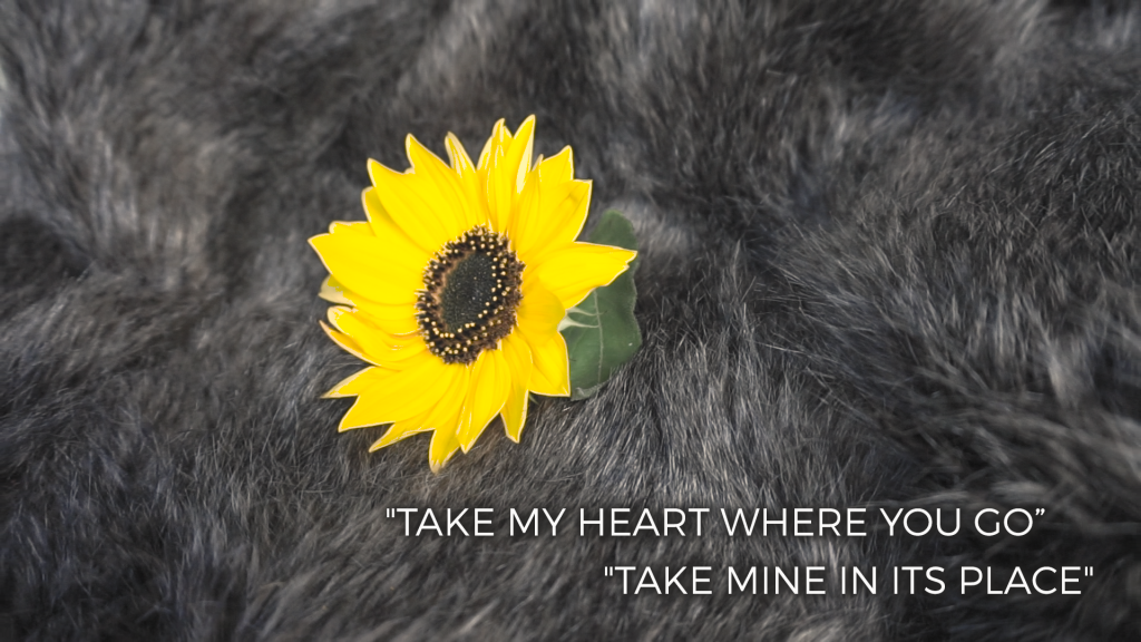 This image has an empty alt attribute; its file name is Take-my-heart2-1024x576.png